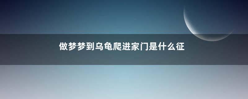 做梦梦到乌龟爬进家门是什么征兆