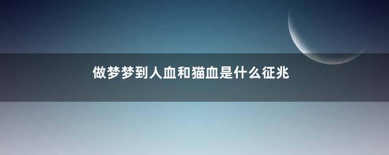做梦梦到人血和猫血是什么征兆
