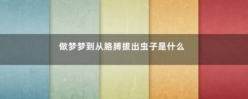做梦梦到从胳膊拔出虫子是什么征兆