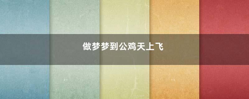 做梦梦到公鸡天上飞