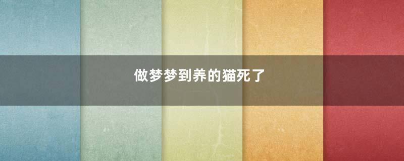 做梦梦到养的猫死了