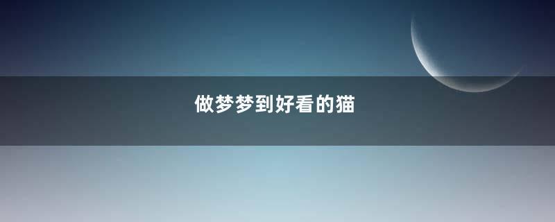 做梦梦到好看的猫