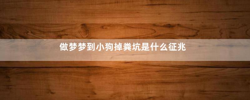 做梦梦到小狗掉粪坑是什么征兆