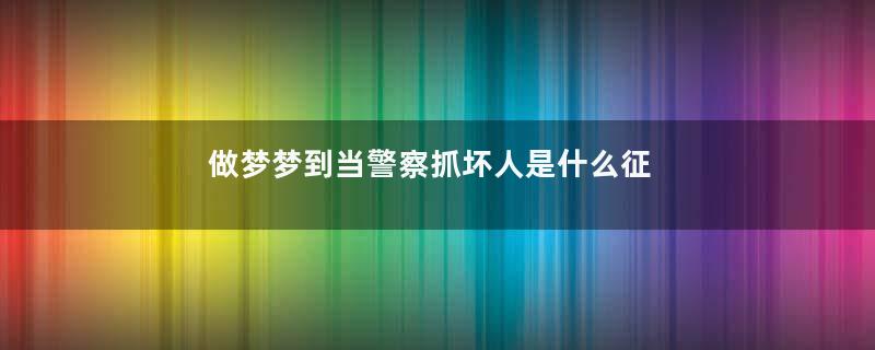 做梦梦到当警察抓坏人是什么征兆