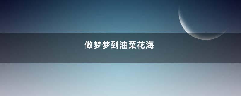 做梦梦到油菜花海