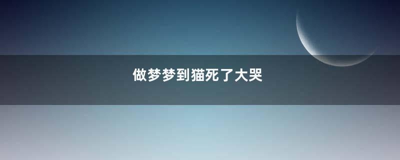 做梦梦到猫死了大哭