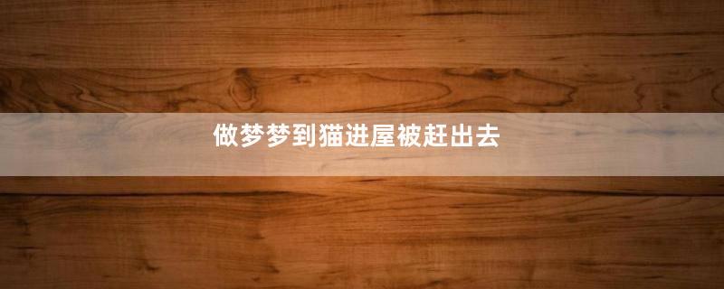 做梦梦到猫进屋被赶出去