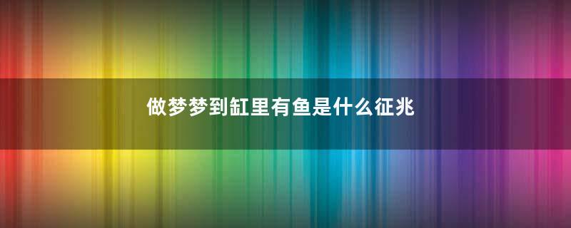 做梦梦到缸里有鱼是什么征兆