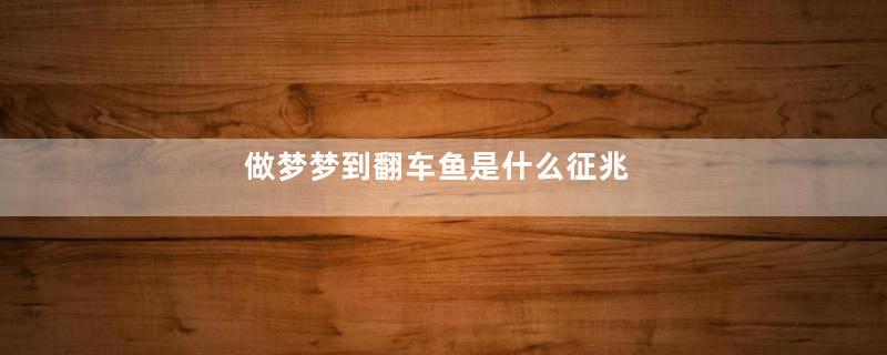 做梦梦到翻车鱼是什么征兆