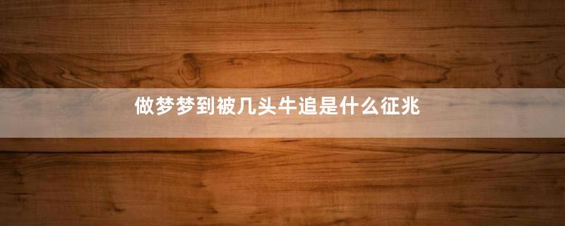 做梦梦到被几头牛追是什么征兆