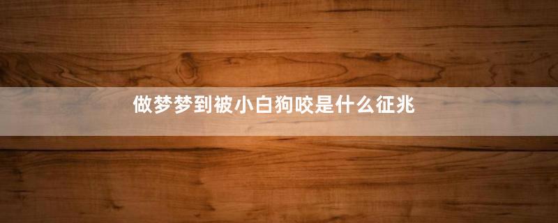 做梦梦到被小白狗咬是什么征兆