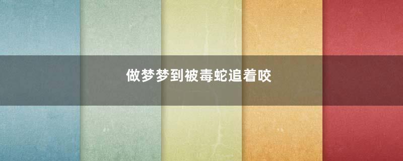 做梦梦到被毒蛇追着咬