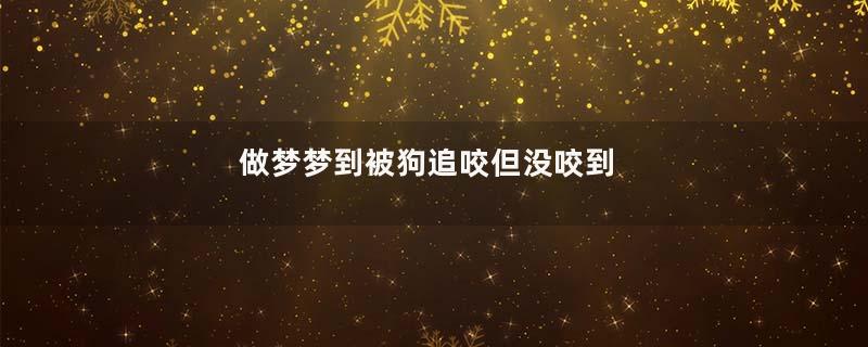 做梦梦到被狗追咬但没咬到