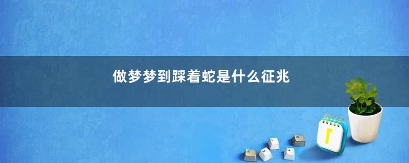 做梦梦到踩着蛇是什么征兆