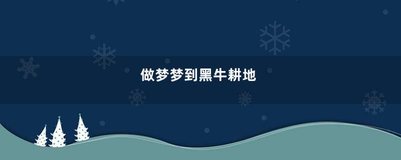 做梦梦到黑牛耕地