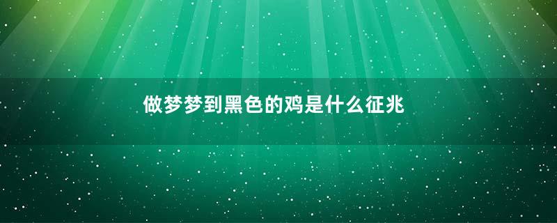 做梦梦到黑色的鸡是什么征兆