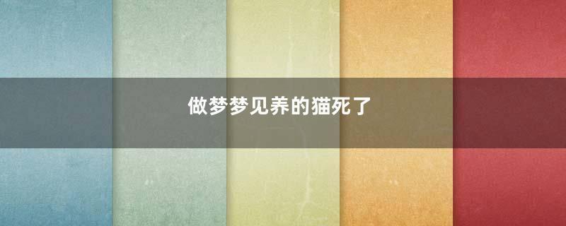 做梦梦见养的猫死了