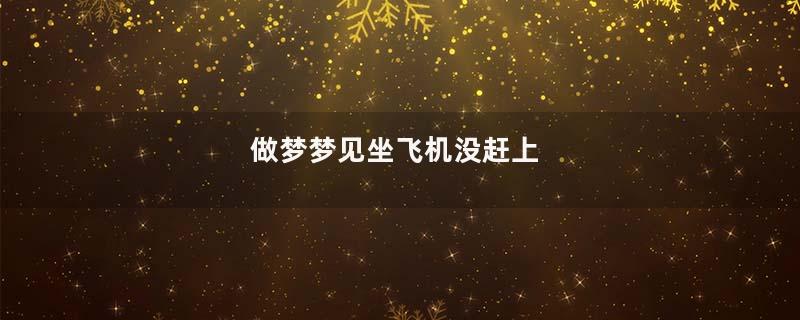 做梦梦见坐飞机没赶上