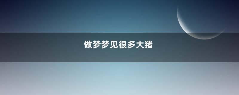 做梦梦见很多大猪
