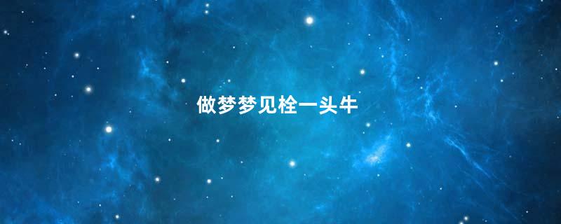做梦梦见栓一头牛