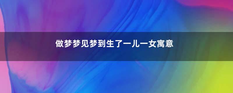 做梦梦见梦到生了一儿一女寓意