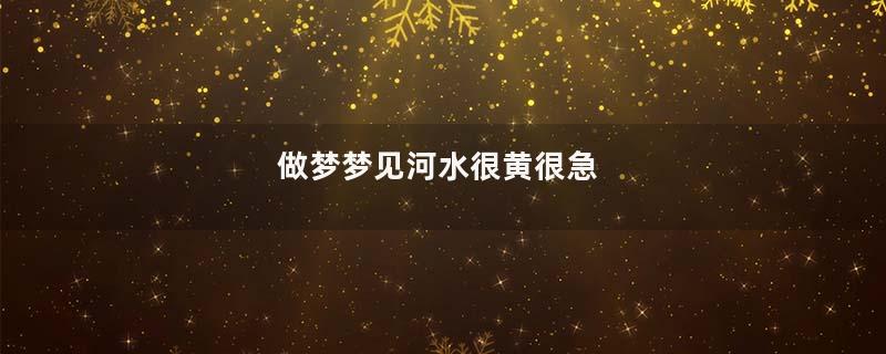 做梦梦见河水很黄很急