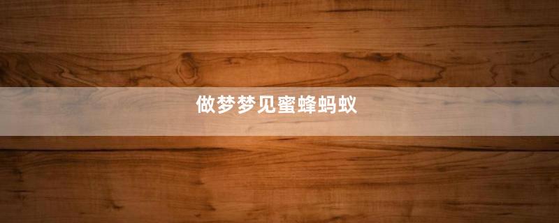 做梦梦见蜜蜂蚂蚁