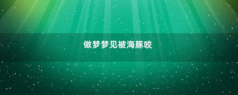做梦梦见被海豚咬