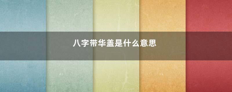 八字带华盖是什么意思