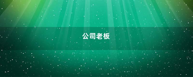 公司老板