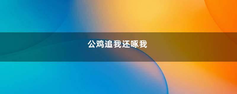 公鸡追我还啄我