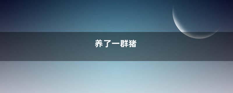 养了一群猪