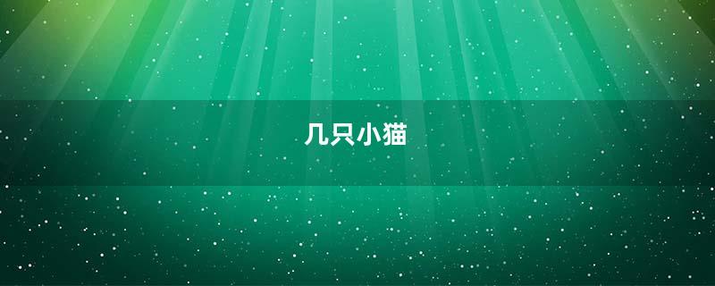 几只小猫