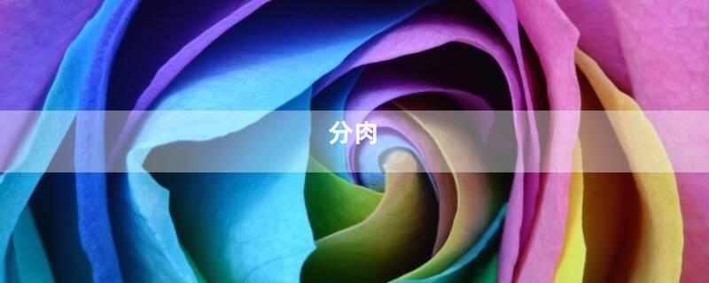 分肉