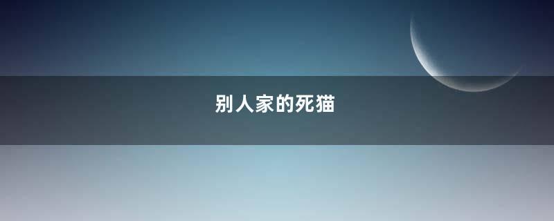 别人家的死猫