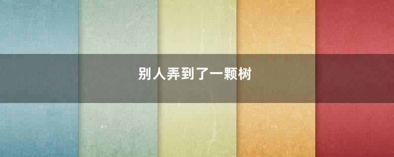 别人弄到了一颗树
