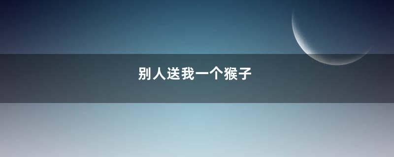 别人送我一个猴子