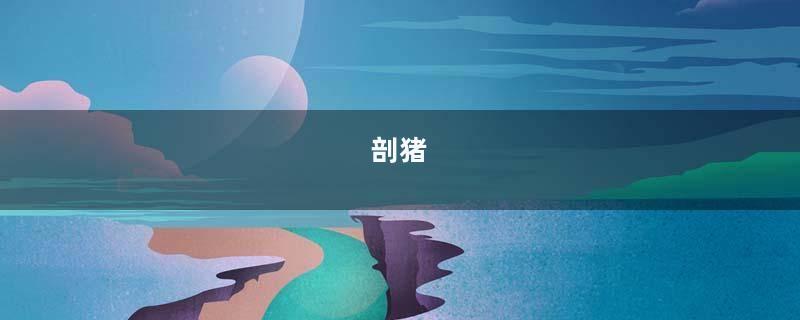 剖猪