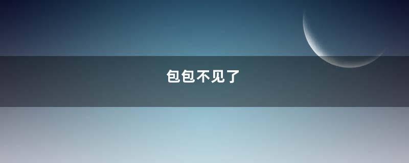 包包不见了