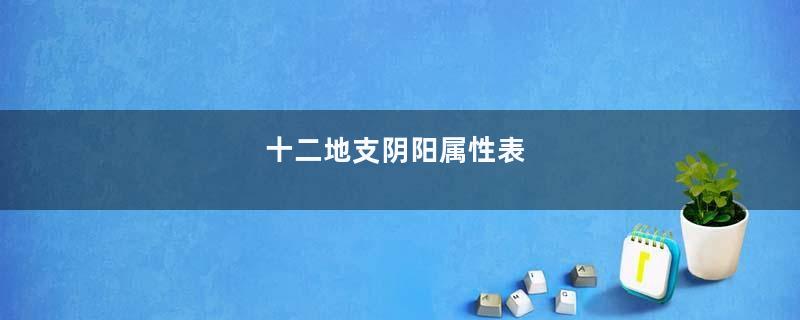 十二地支阴阳属性表