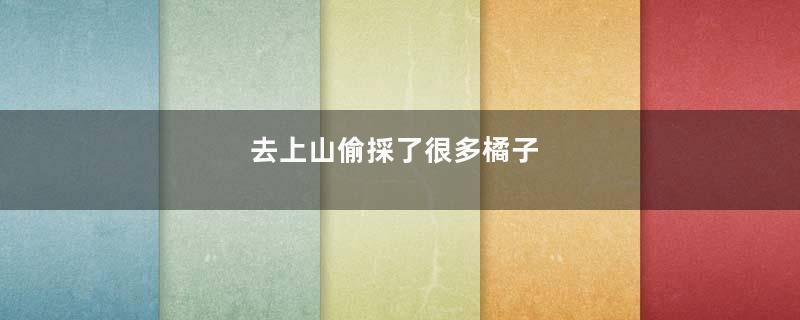 去上山偷採了很多橘子