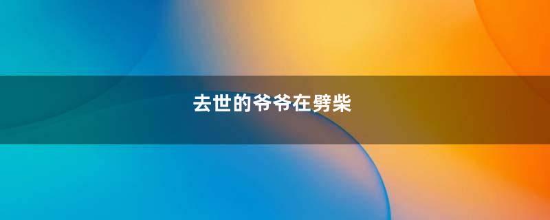 去世的爷爷在劈柴