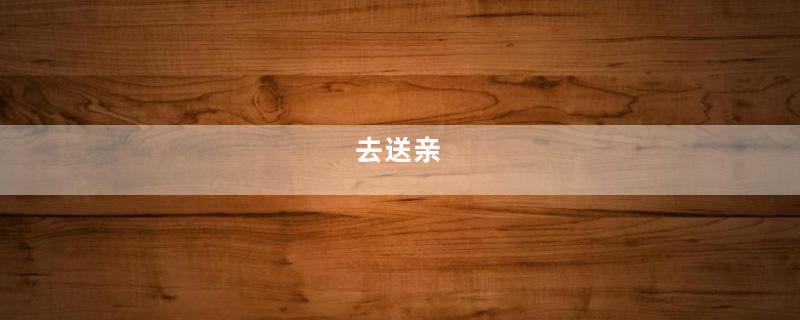 去送亲