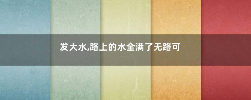 发大水,路上的水全满了无路可走