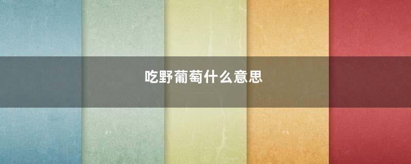 吃野葡萄什么意思