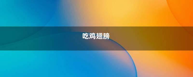 吃鸡翅膀
