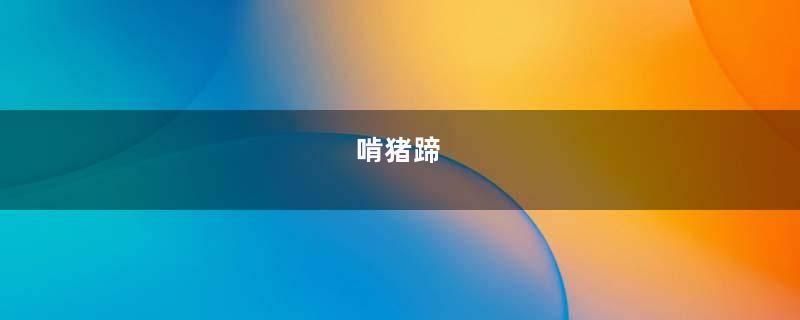 啃猪蹄