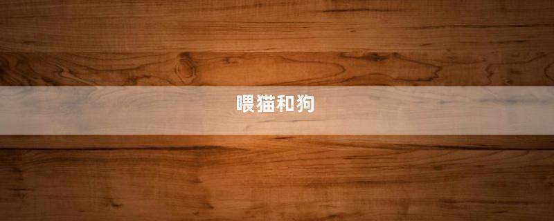喂猫和狗