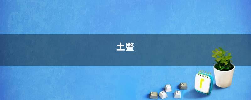 土鳖