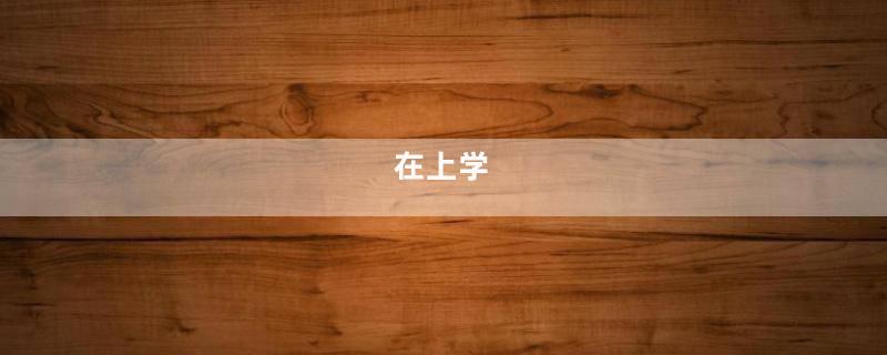 在上学